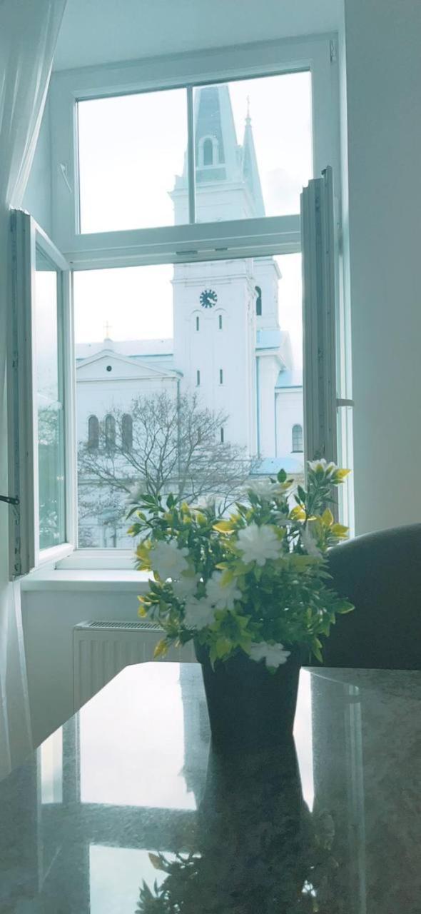 Accommodatie bij particulieren Cozy In Keplerplatz Kp Q Wenen